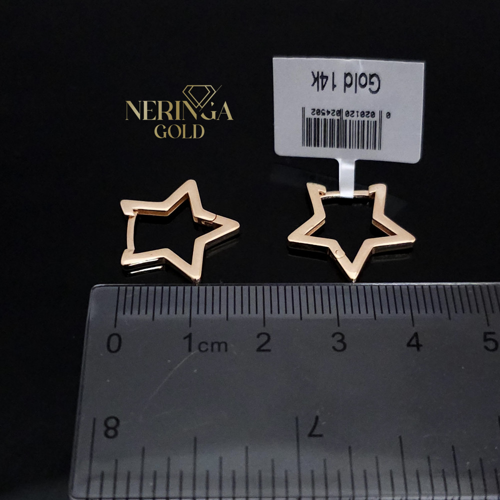 Rose gold earring #68211