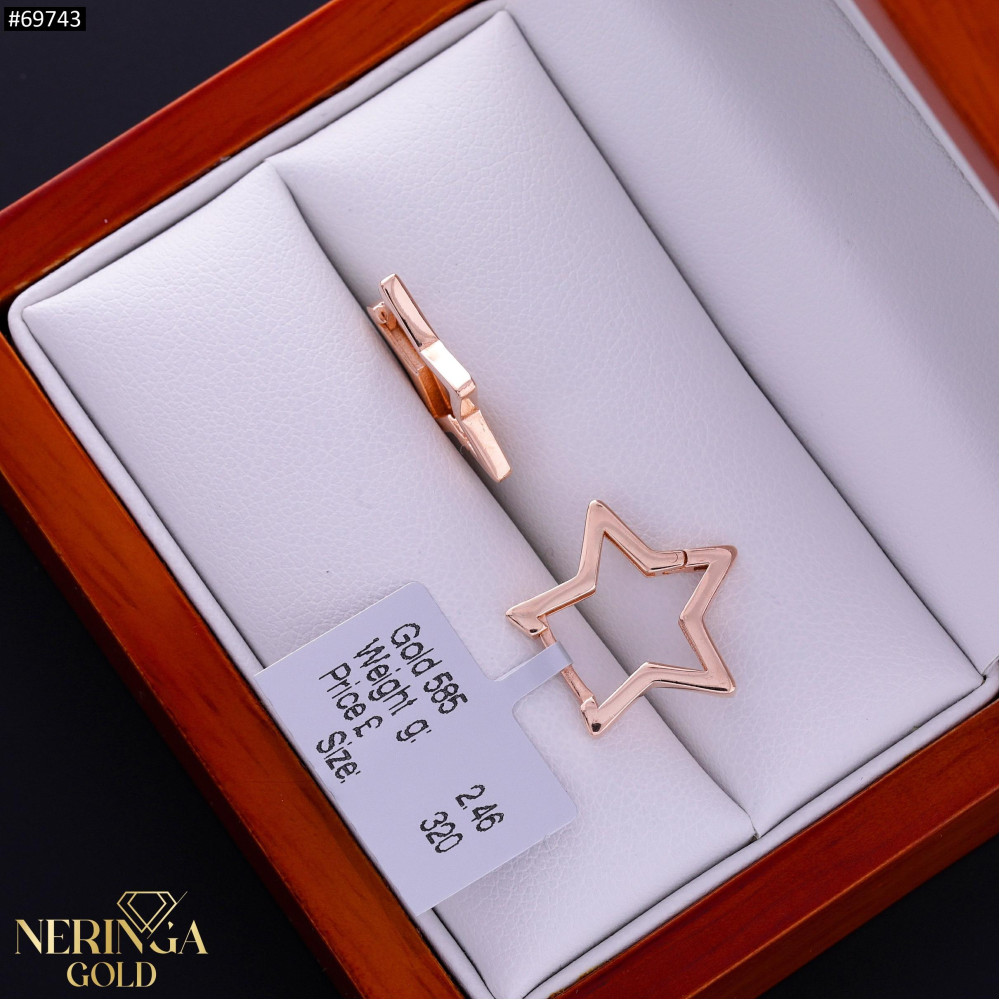 Rose gold earring #69743