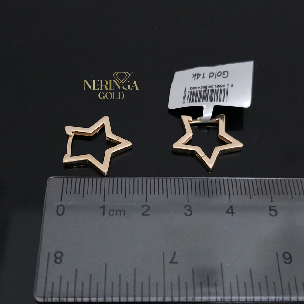Rose gold earring #69744