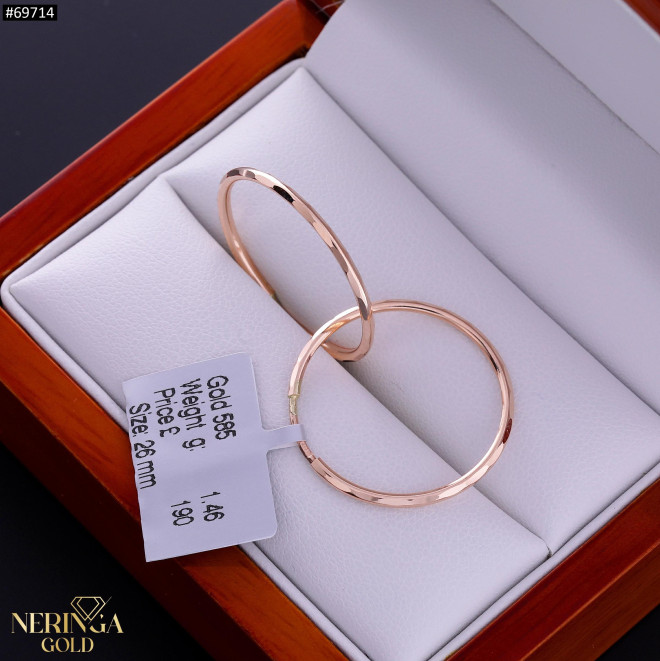 Rose gold hoop earrings #69714