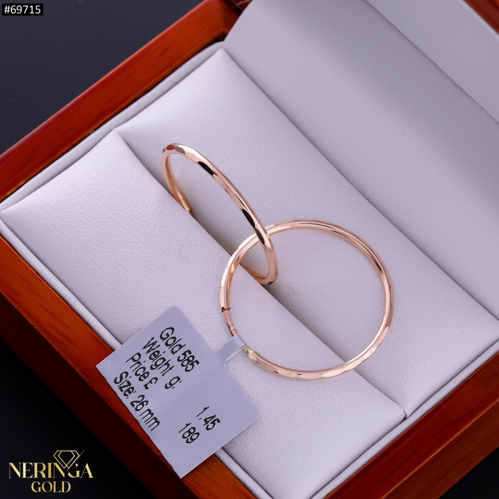Rose gold hoop earrings #69715
