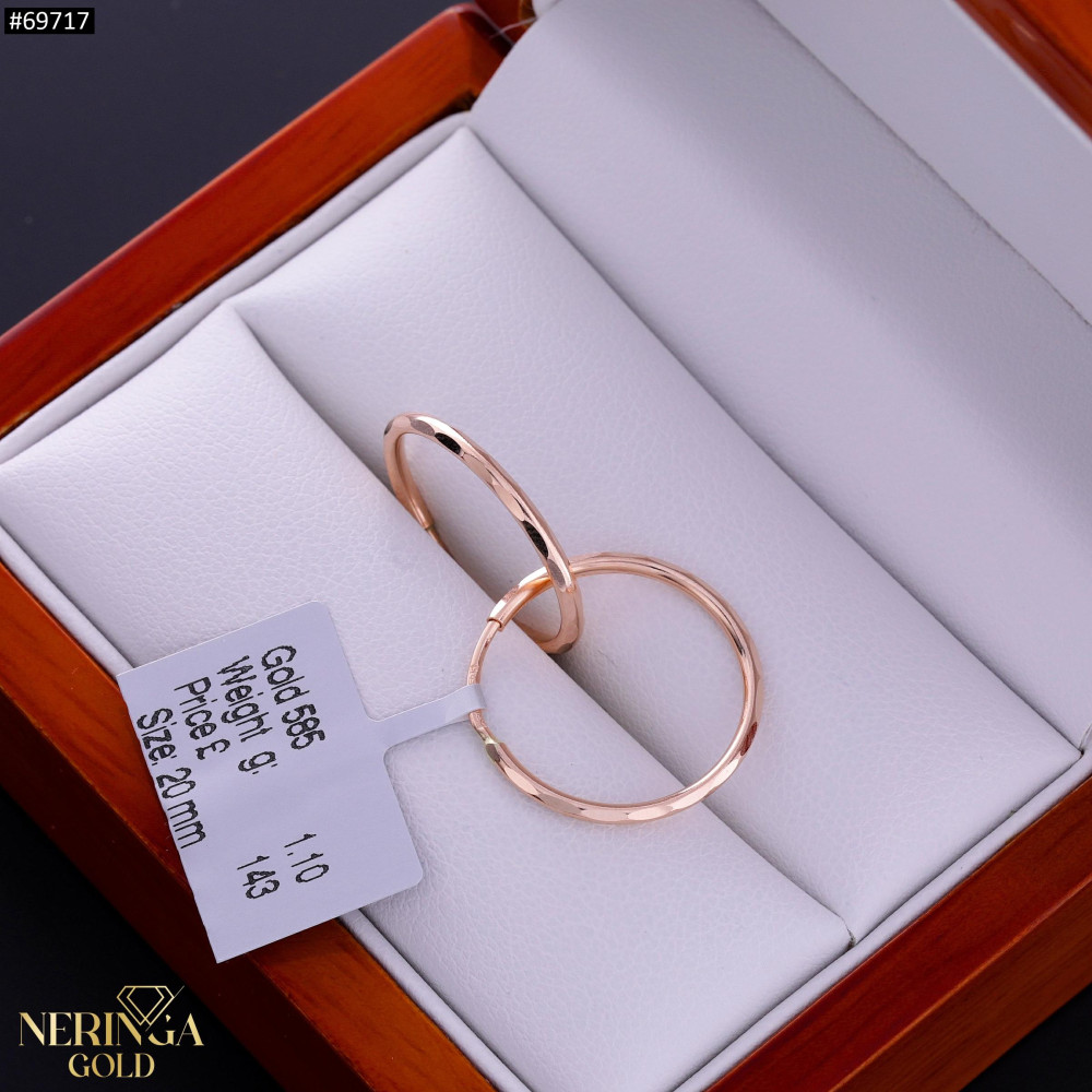 Rose gold hoop earrings #69717