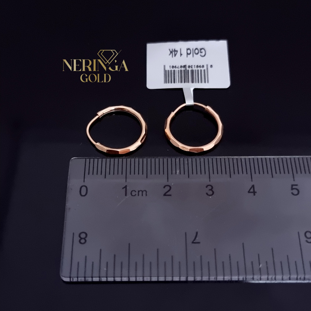 Rose gold hoop earrings #69966