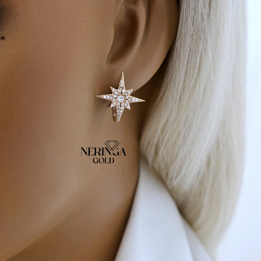 Rose gold english lock earrings #65863